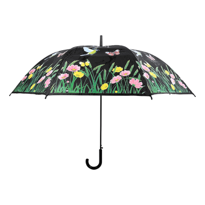 Paraguas Magico Pajaros que Cambian de Color